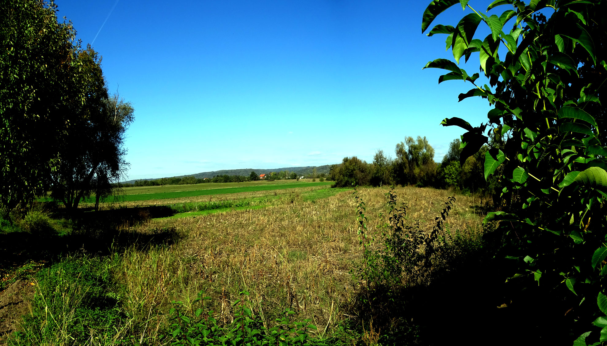 panarija okolina mesta streljanja 01