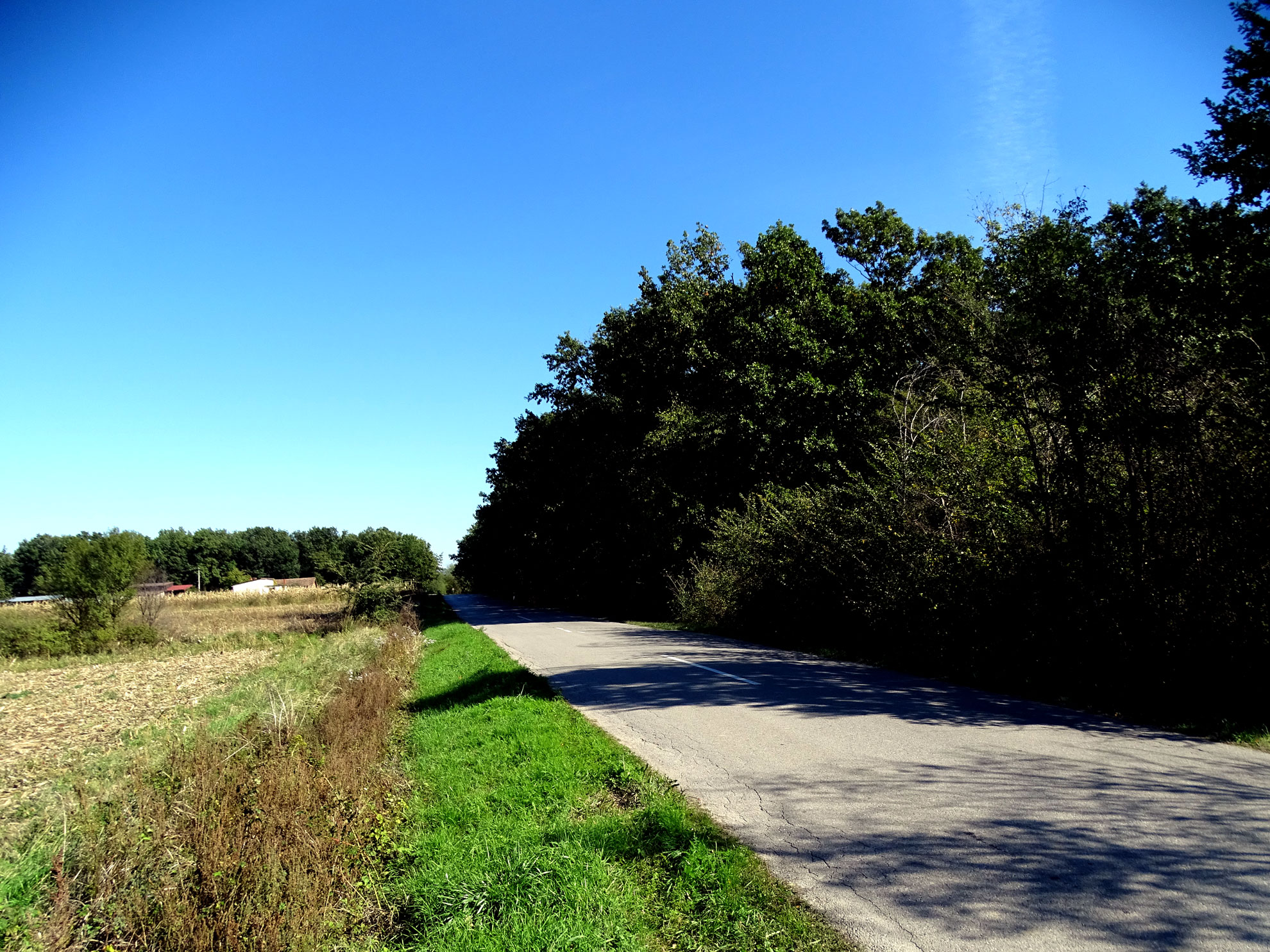 sumarice melnica stamnica vitovnica 02