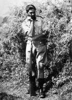 Млавски корпус