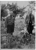 Млавски корпус