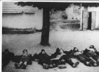 Млавски корпус